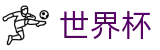 2026国际足联世界杯注册与登录入口 - 2026年世界杯购票抽签流程全攻略